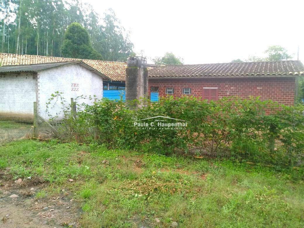 Sítio à venda com 4 quartos, 15000M2 - Foto 17