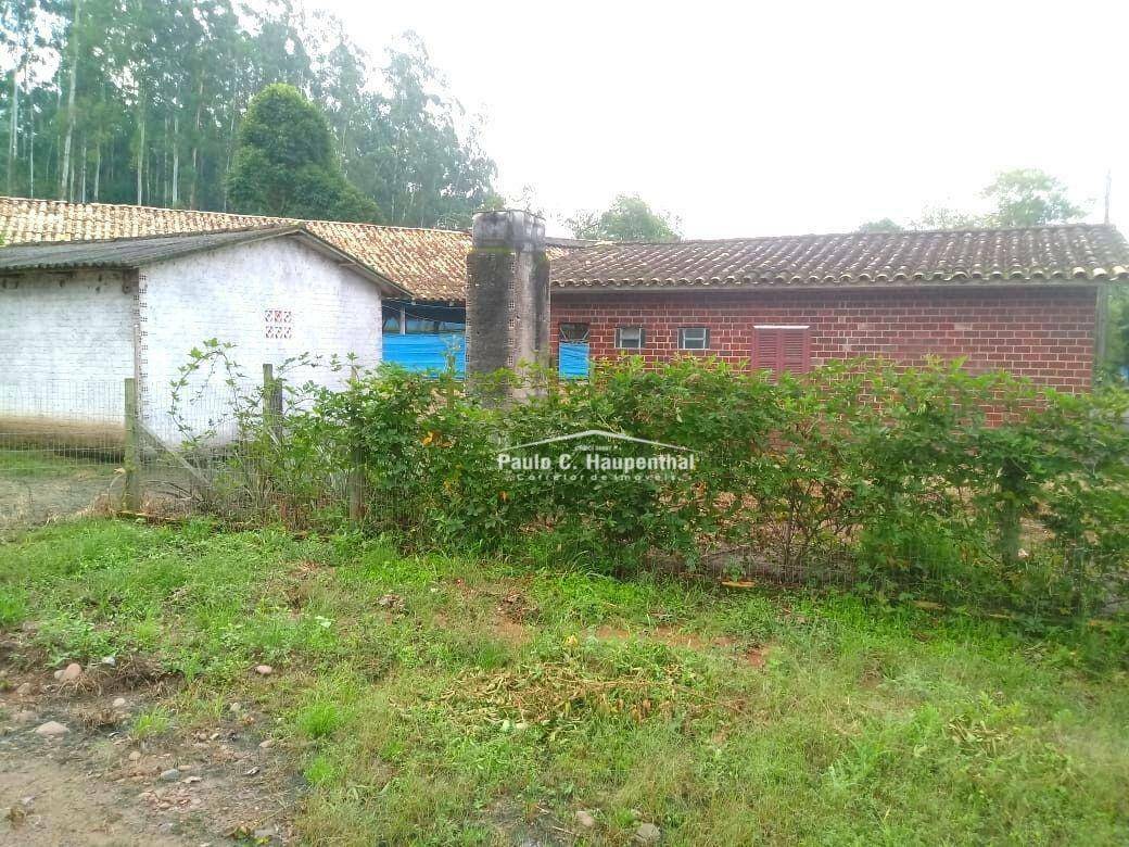 Chácara à venda com 4 quartos, 15000M2 - Foto 17