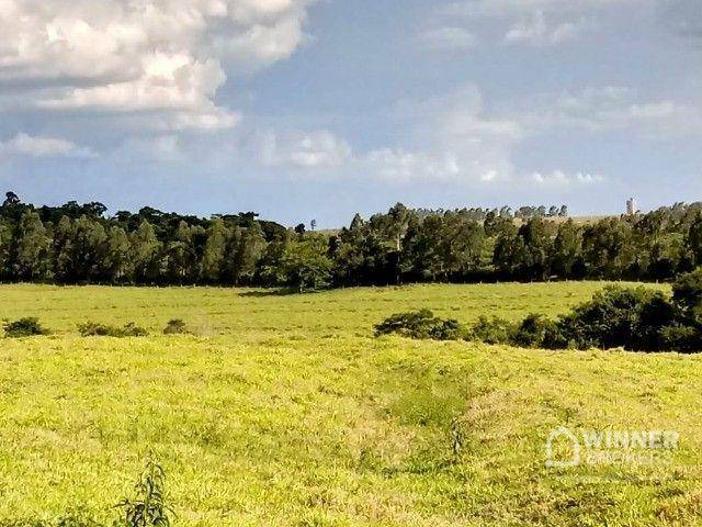 Terreno à venda, 20000M2 - Foto 1