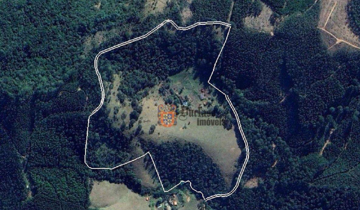 Sítio, 4 quartos, 17 hectares - Foto 2