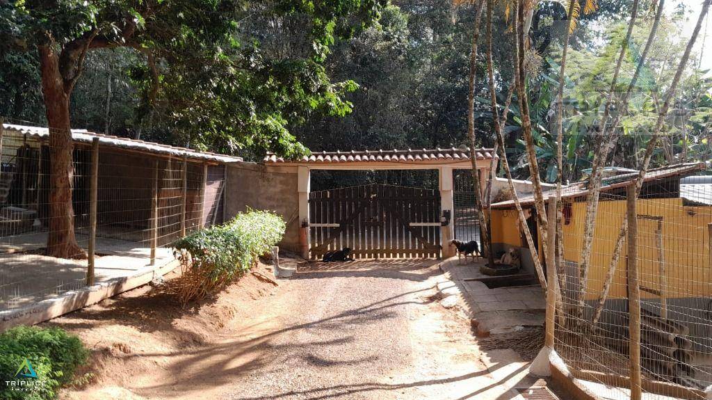 Sítio, 2 quartos, 10000 m² - Foto 4