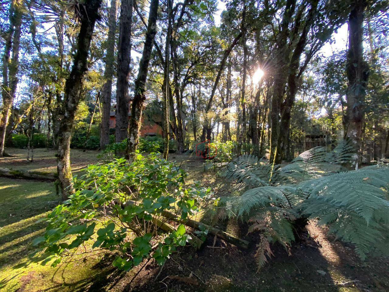 Terreno à venda, 2526M2 - Foto 2