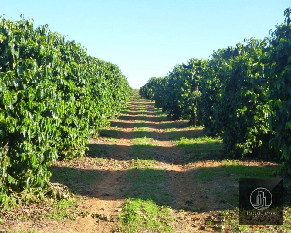 Fazenda à venda, 13170000M2 - Foto 4