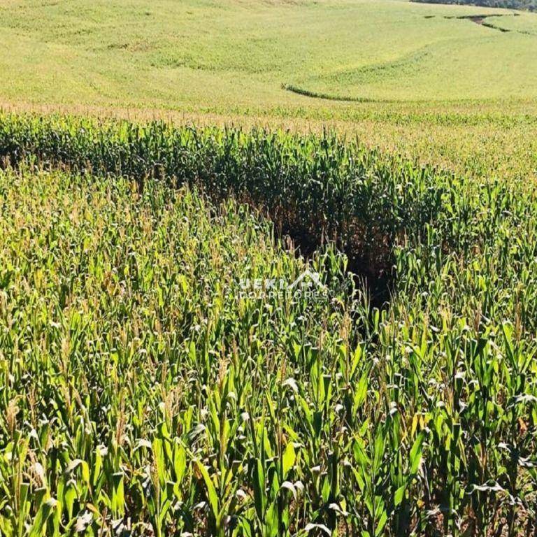 Fazenda à venda, 2081200M2 - Foto 4