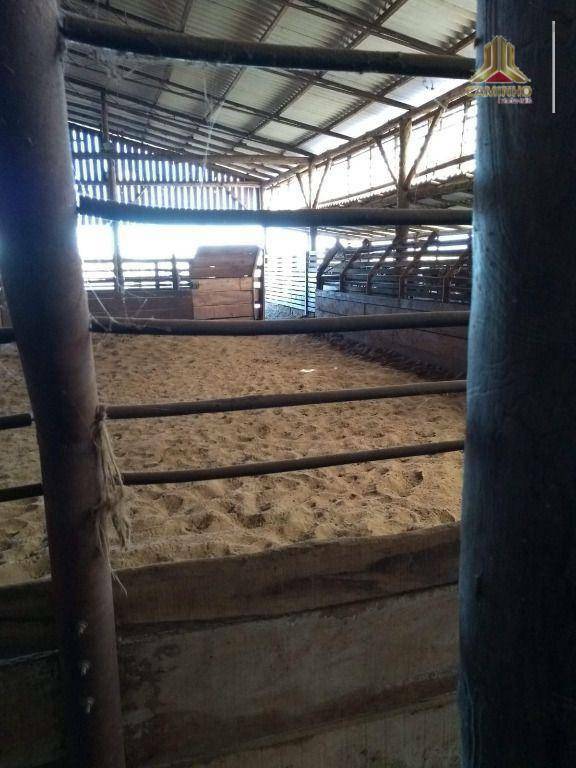 Fazenda à venda com 6 quartos, 600000M2 - Foto 9