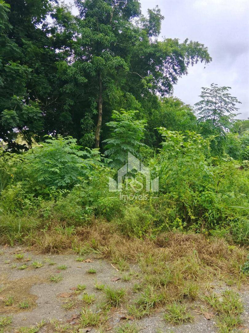 Terreno, 528 m² - Foto 3