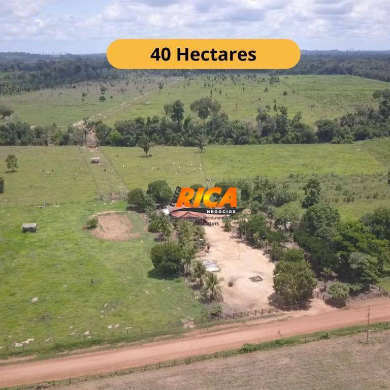 Sítio, 40 hectares - Foto 1