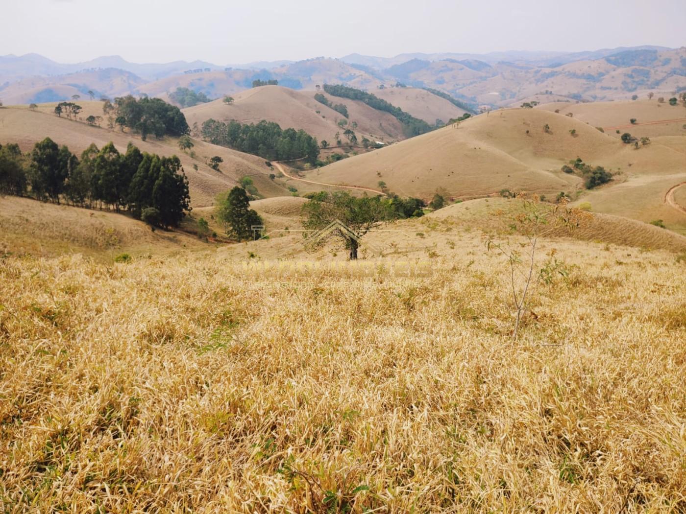 Terreno à venda, 20000m² - Foto 14