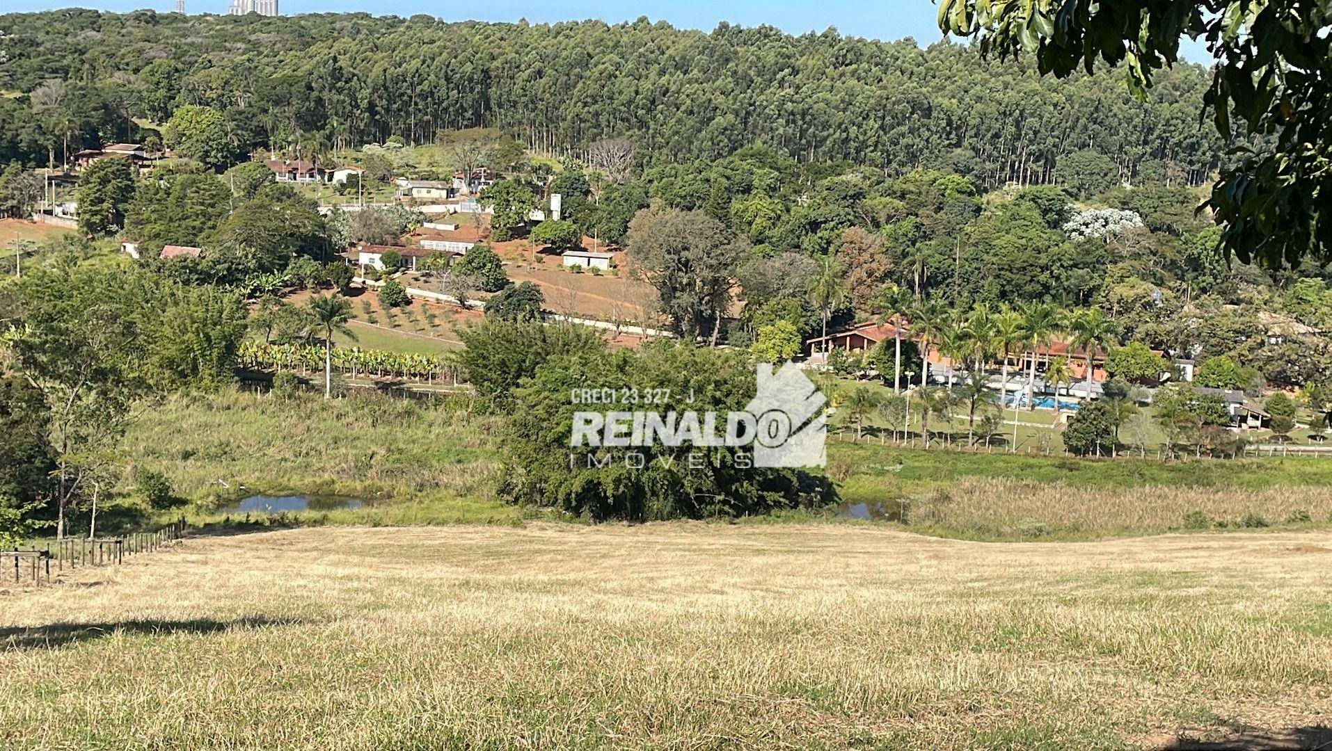 Haras e Área Rural Padrão à venda com 4 quartos, 1050m² - Foto 16