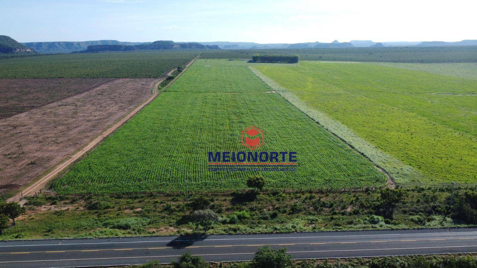 Fazenda à venda com 1 quarto, 7810000M2 - Foto 4