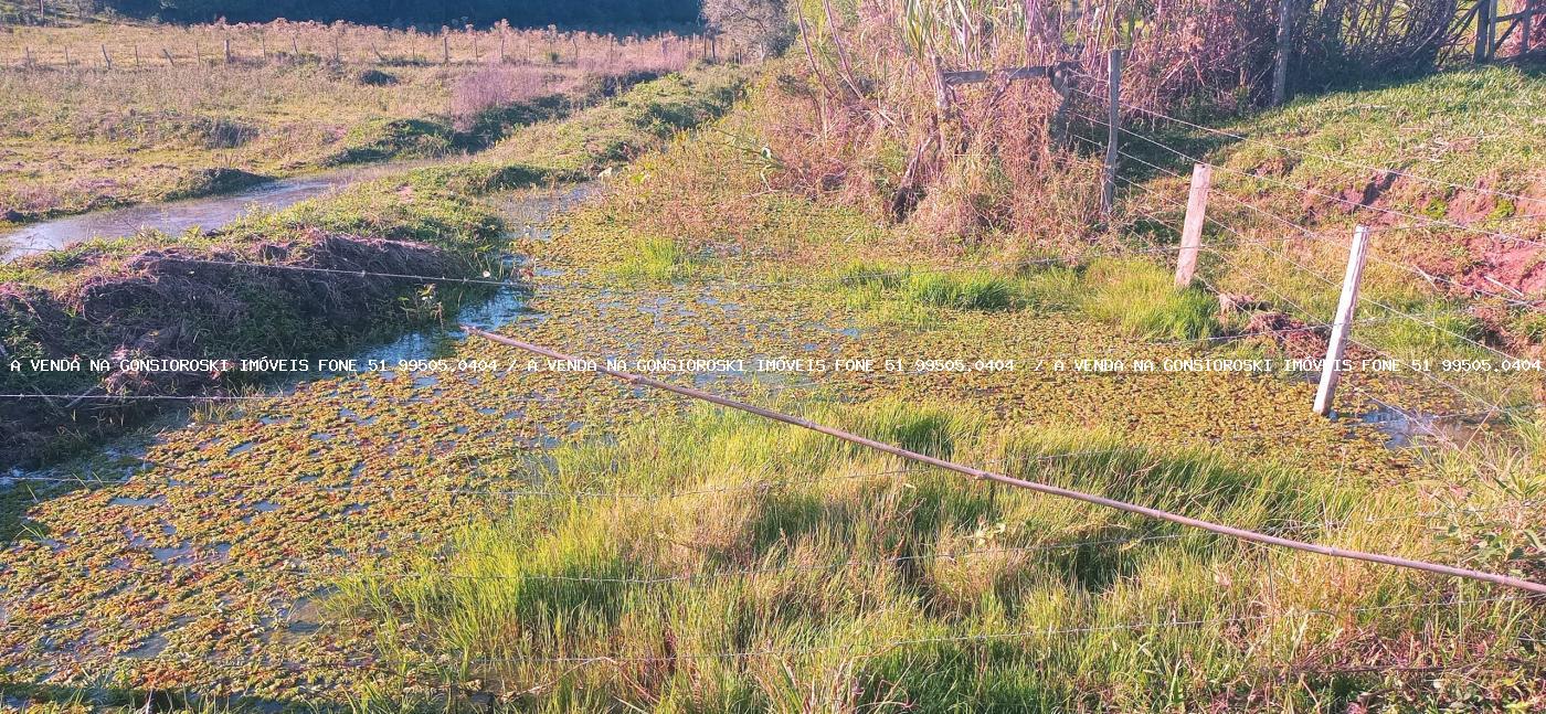 Fazenda-Sítio-Chácara, 6 hectares - Foto 9
