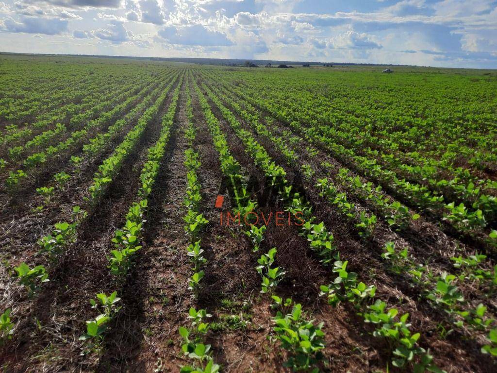 Fazenda, 15000 hectares - Foto 1