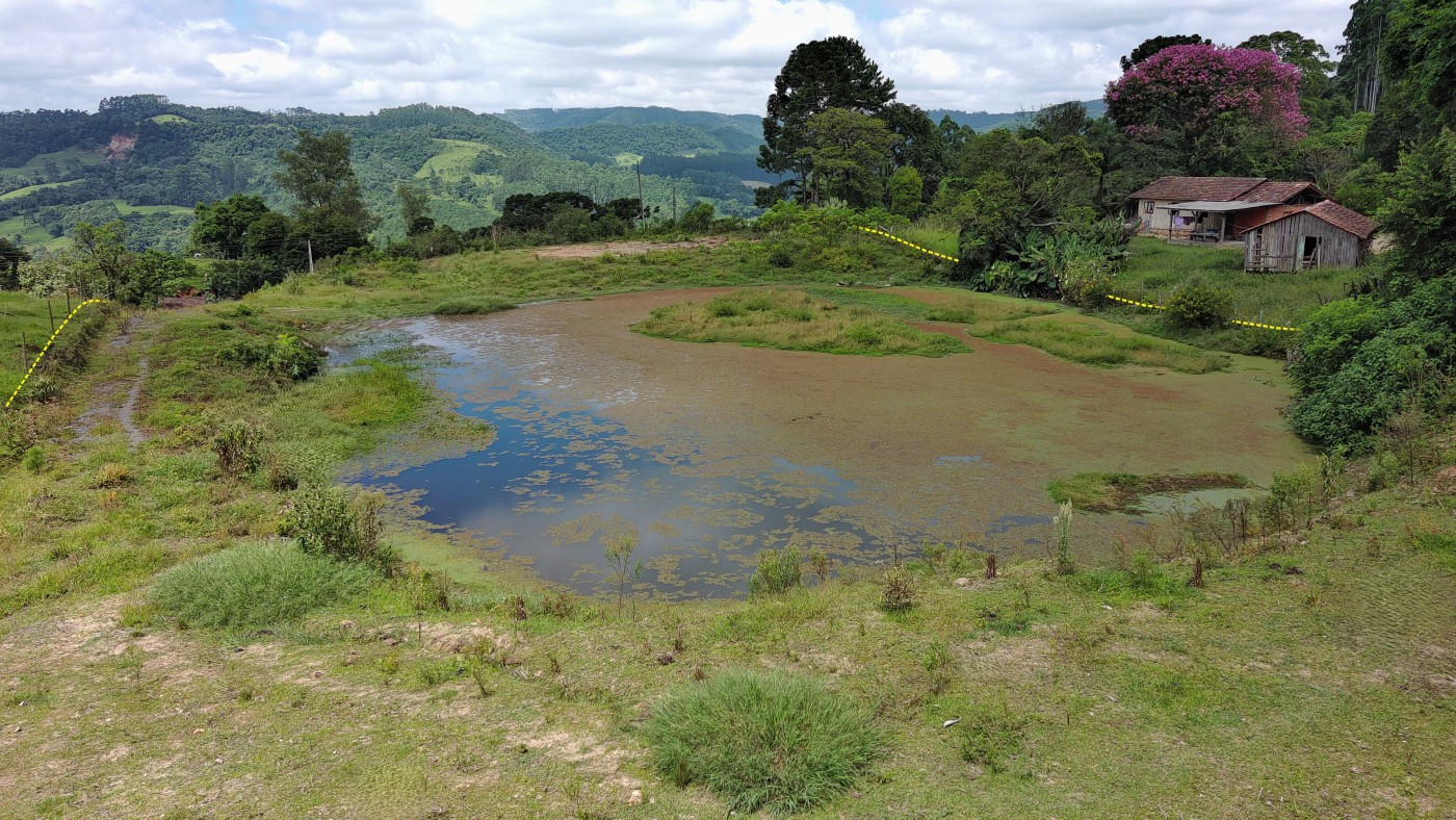 Chácara à venda, 10000m² - Foto 12