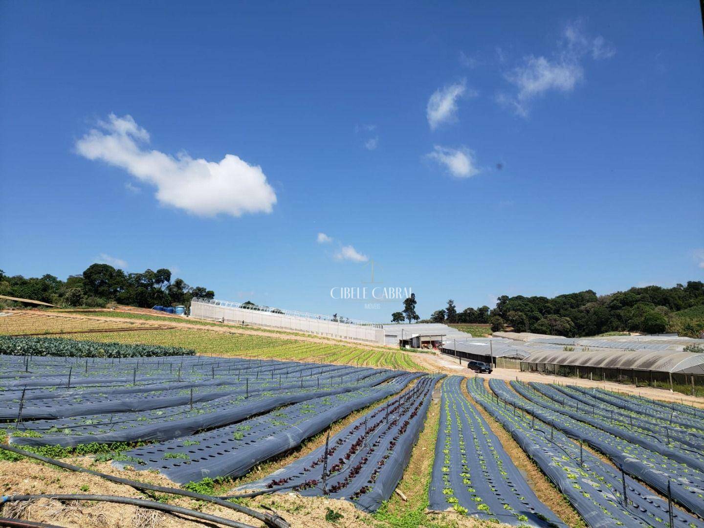 Terreno à venda, 84000M2 - Foto 22