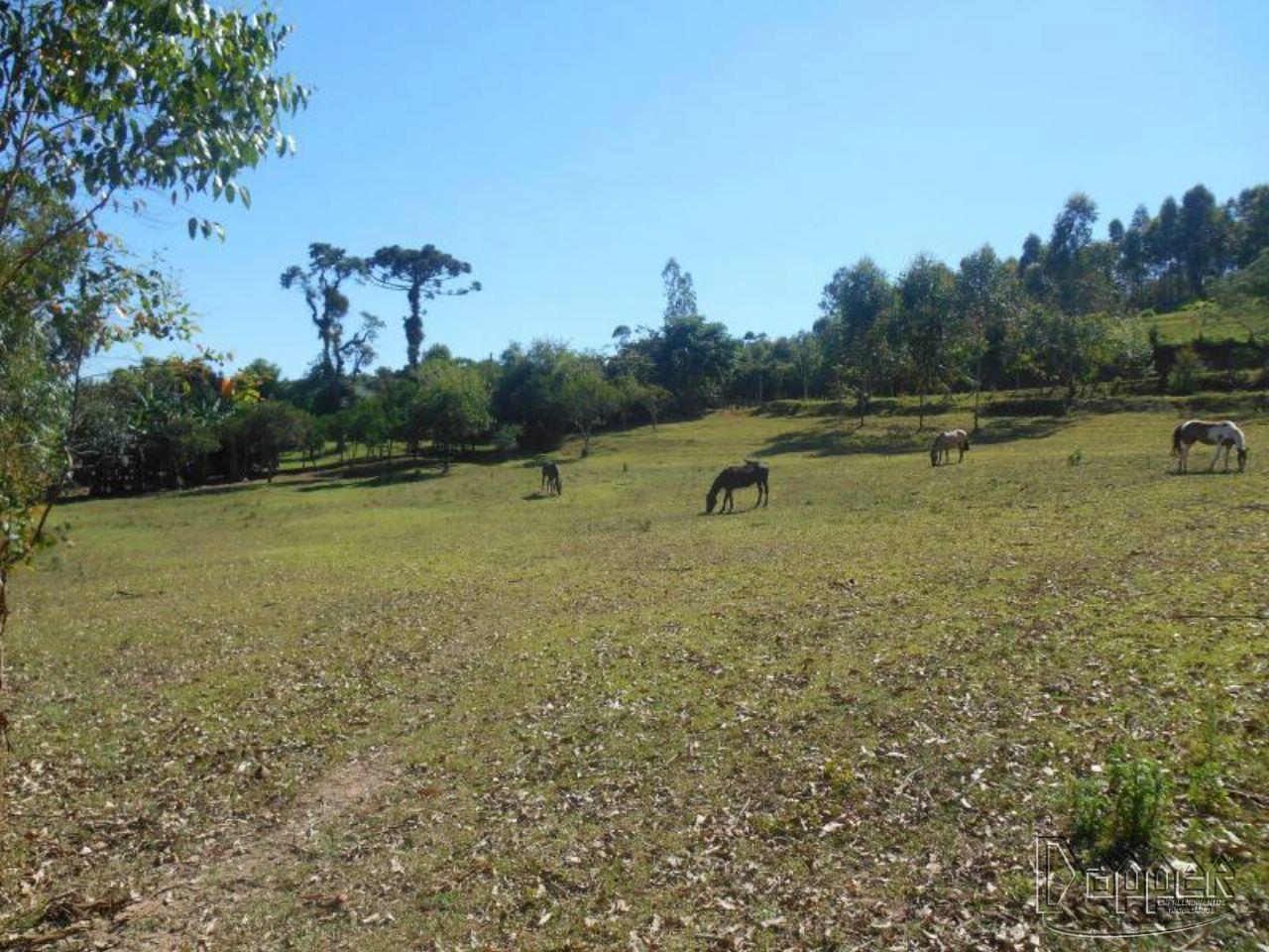 Chácara à venda - Foto 18