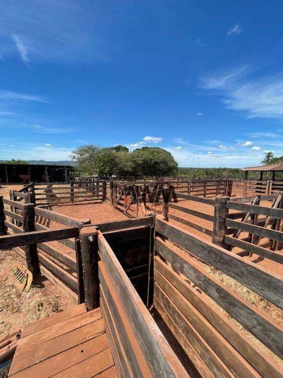 Fazenda à venda, 85958400M2 - Foto 25