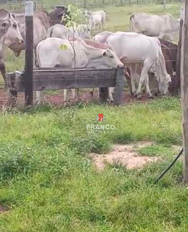 Fazenda à venda com 4 quartos, 126m² - Foto 3