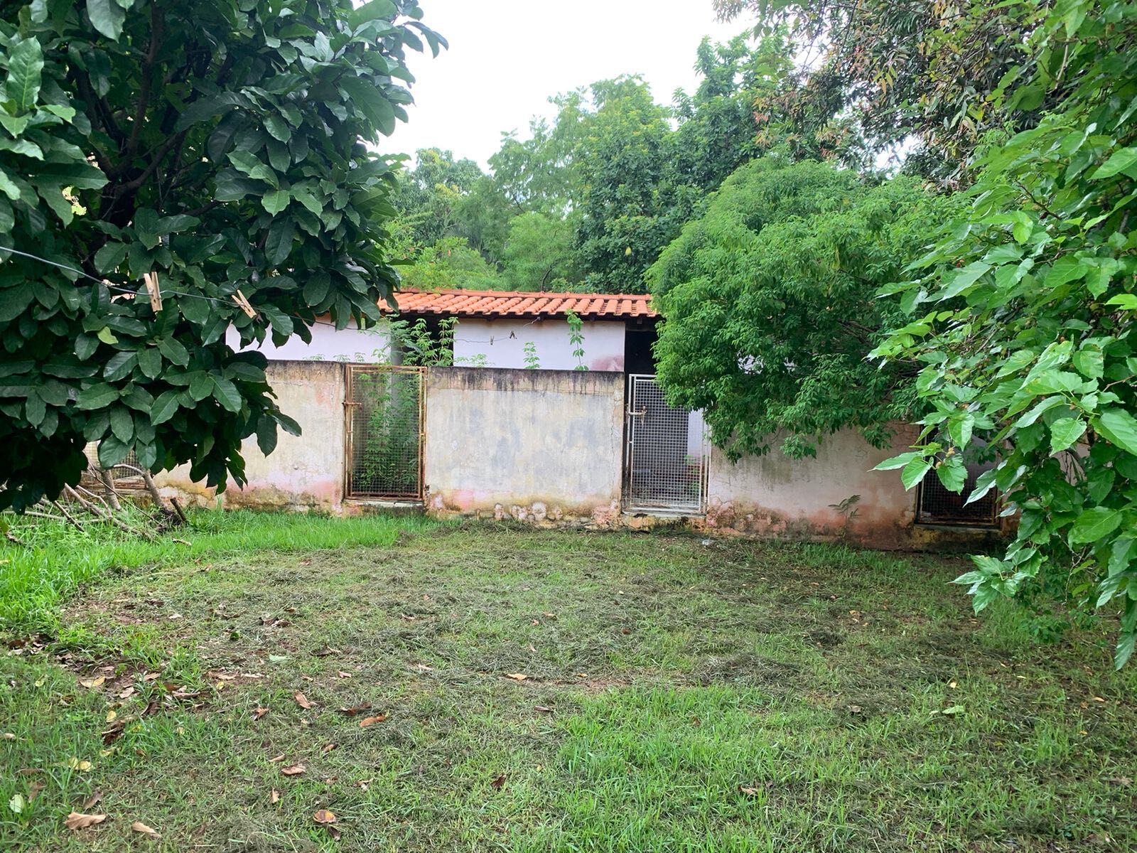 Fazenda à venda com 4 quartos, 5000m² - Foto 25