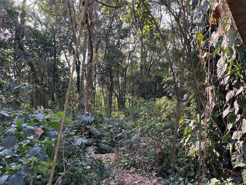 Loteamento e Condomínio à venda, 1100M2 - Foto 2