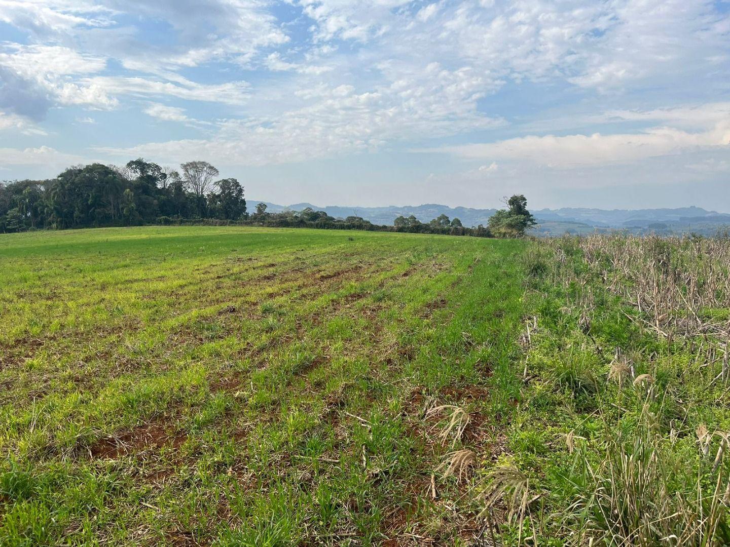 Terreno à venda, 30000m² - Foto 3