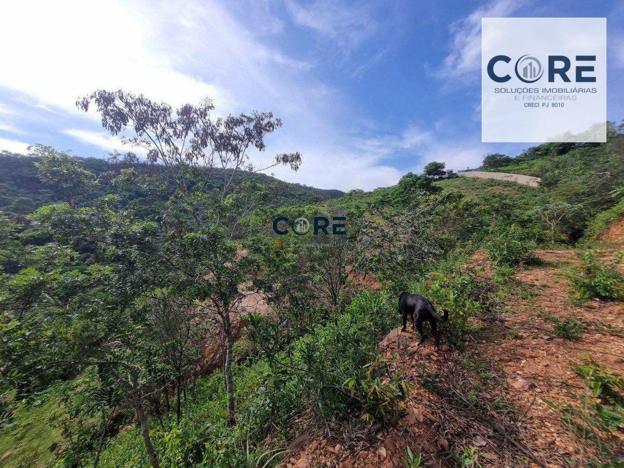 Chácara à venda, 1000M2 - Foto 18