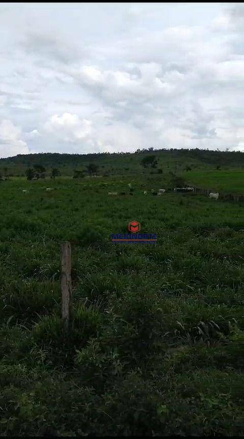 Fazenda à venda com 1 quarto, 10000M2 - Foto 10