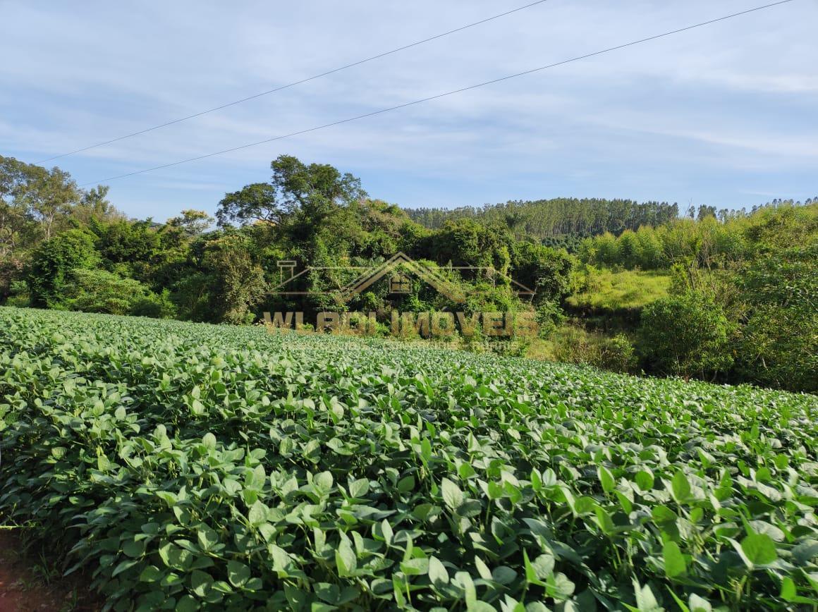 Fazenda à venda, 300m² - Foto 6