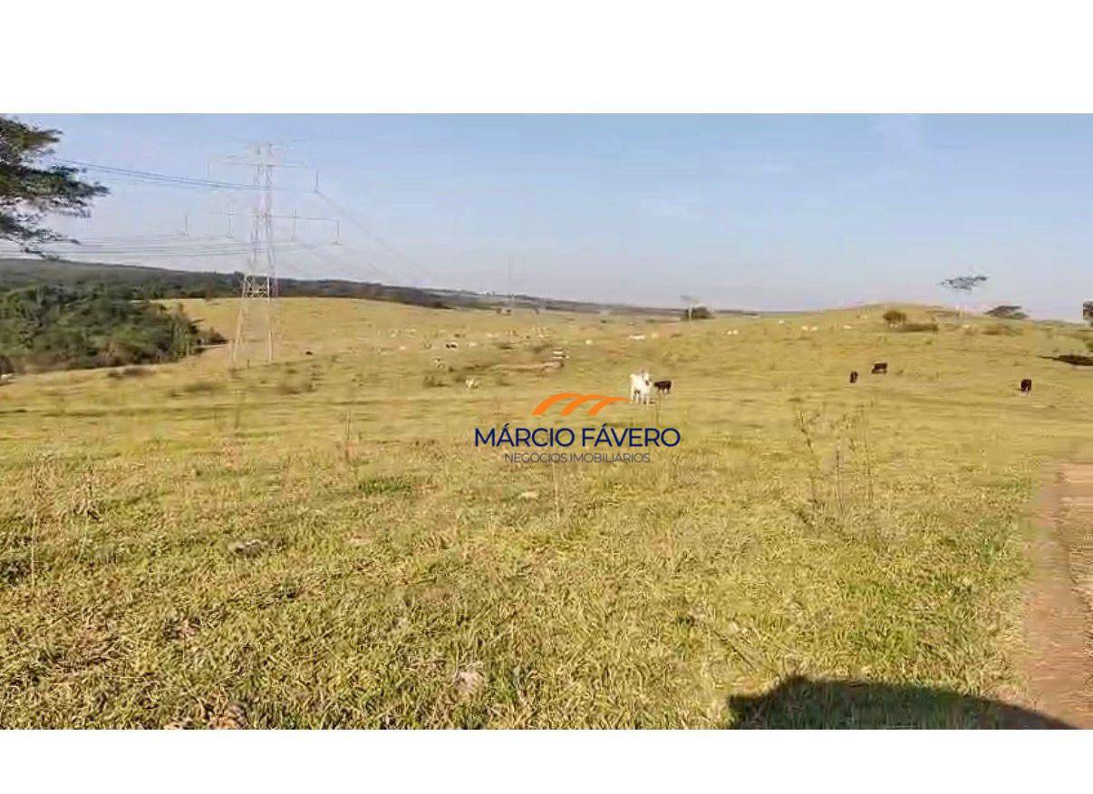 Fazenda, 557 hectares - Foto 1