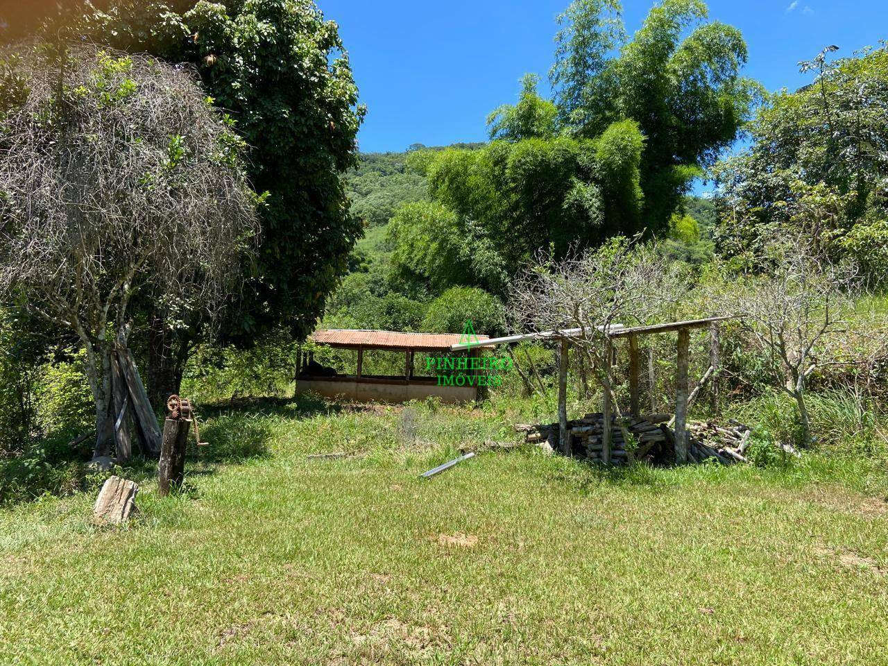 Fazenda à venda com 10 quartos, 1500m² - Foto 5