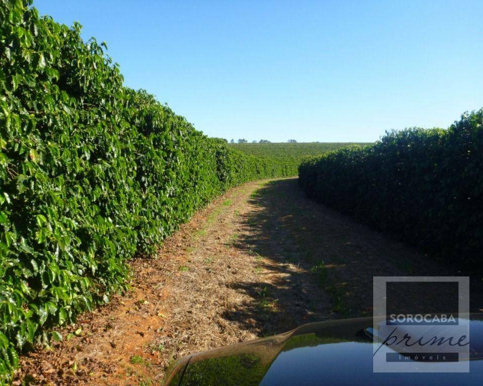 Fazenda-Sítio-Chácara, 1317 hectares - Foto 3