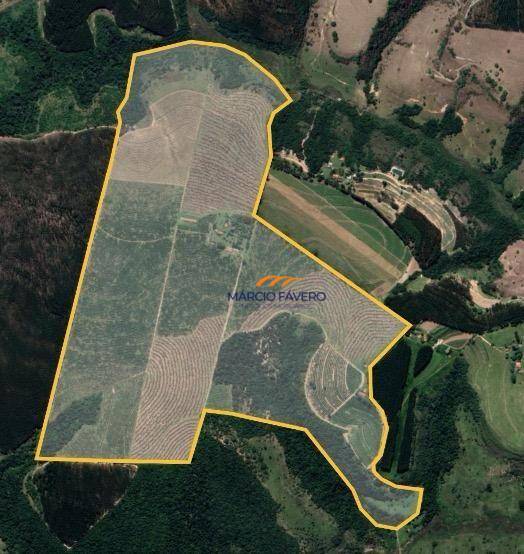 Fazenda, 148 hectares - Foto 6