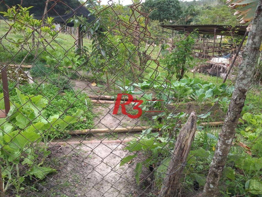 Sítio, 5 quartos, 7 hectares - Foto 12