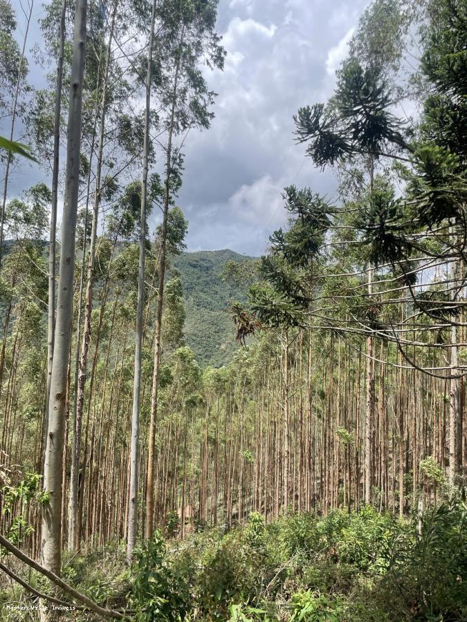 Fazenda à venda, 10m² - Foto 10