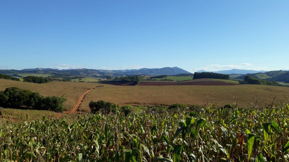 Fazenda à venda, 178m² - Foto 19