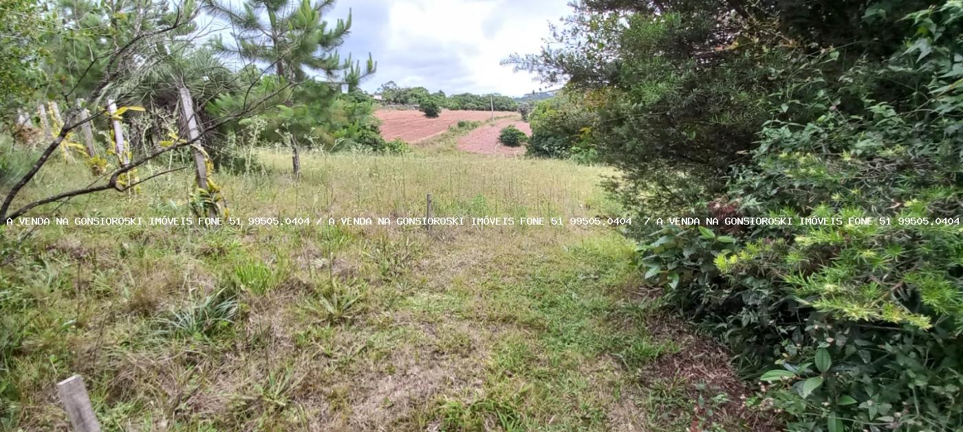 Fazenda à venda com 3 quartos, 3m² - Foto 8