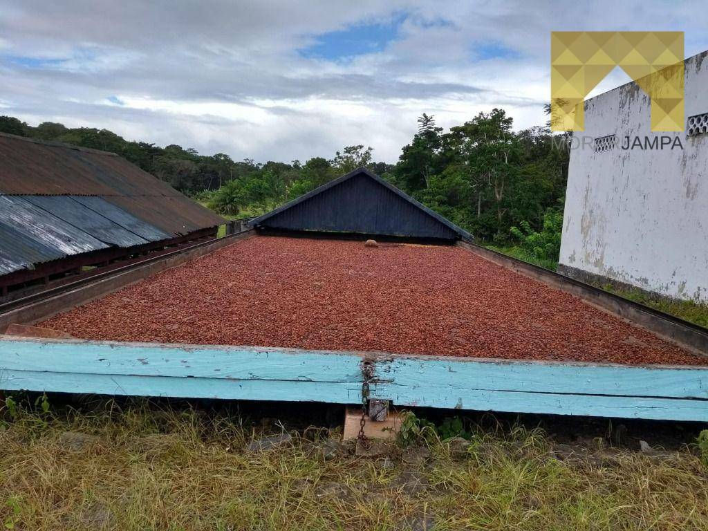 Fazenda à venda com 5 quartos, 98m² - Foto 5