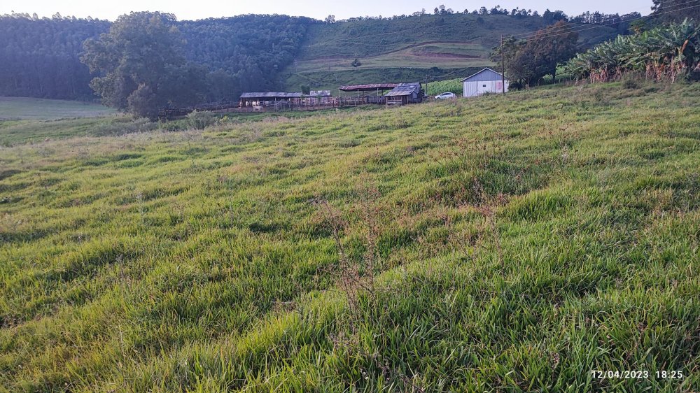 Fazenda à venda, 24m² - Foto 15