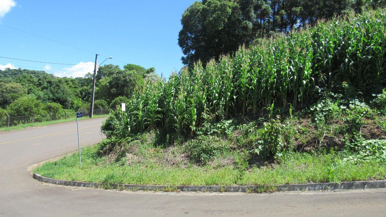 Terreno à venda, 467m² - Foto 1