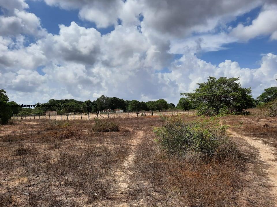 Fazenda à venda com 2 quartos, 14m² - Foto 21