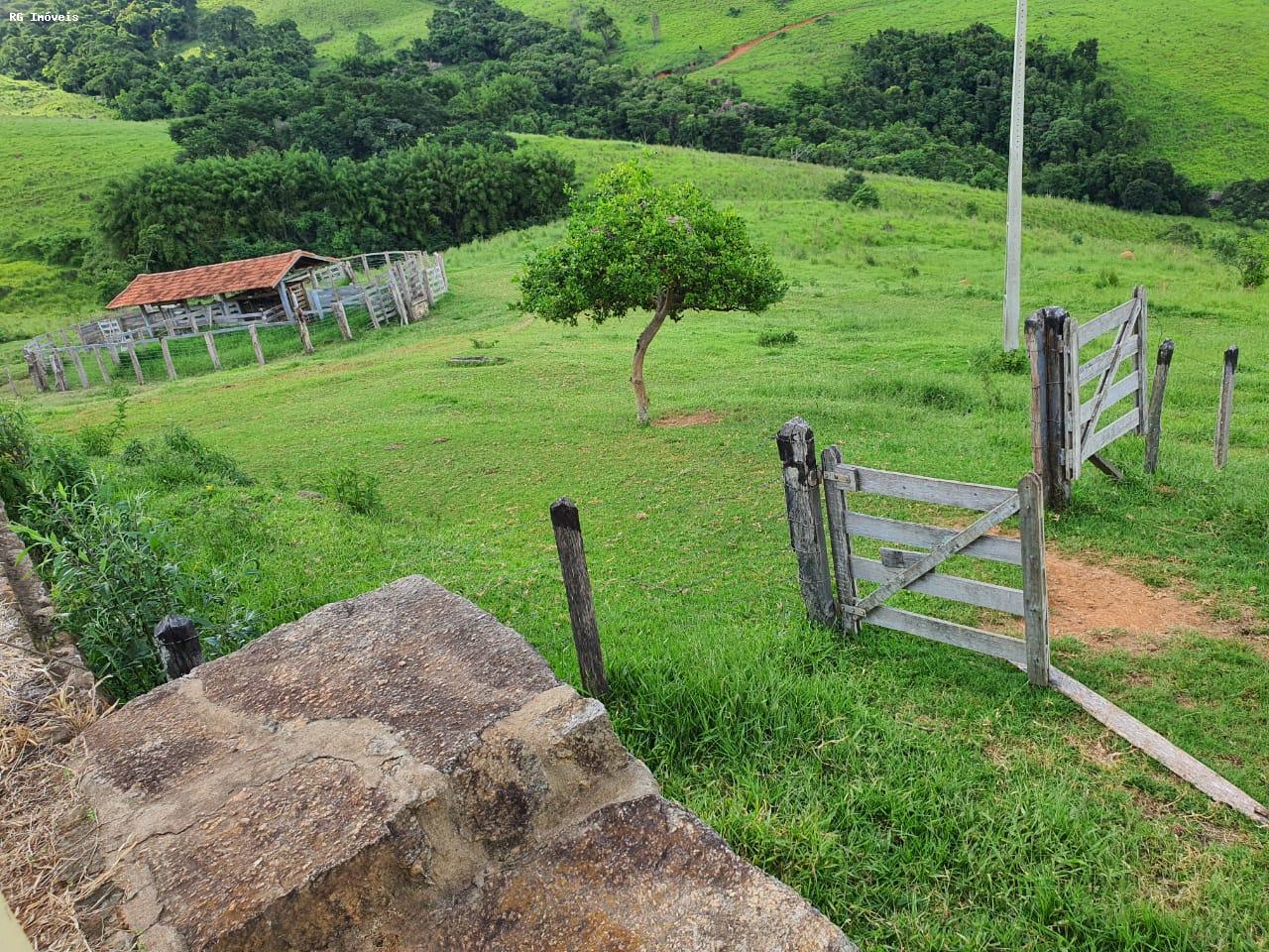 Fazenda à venda com 2 quartos, 220m² - Foto 10