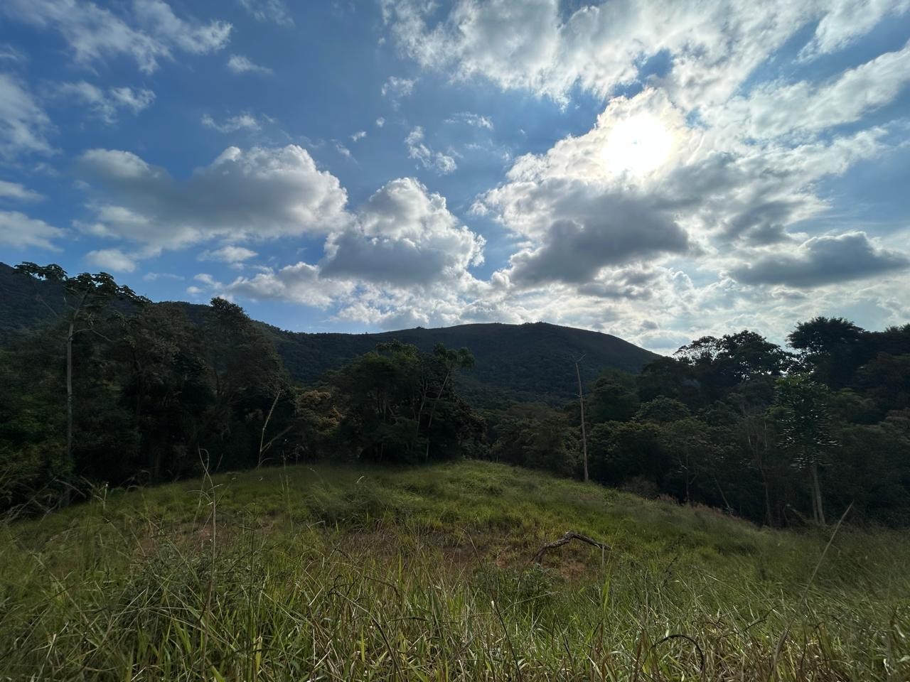 Terreno à venda, 178000m² - Foto 5