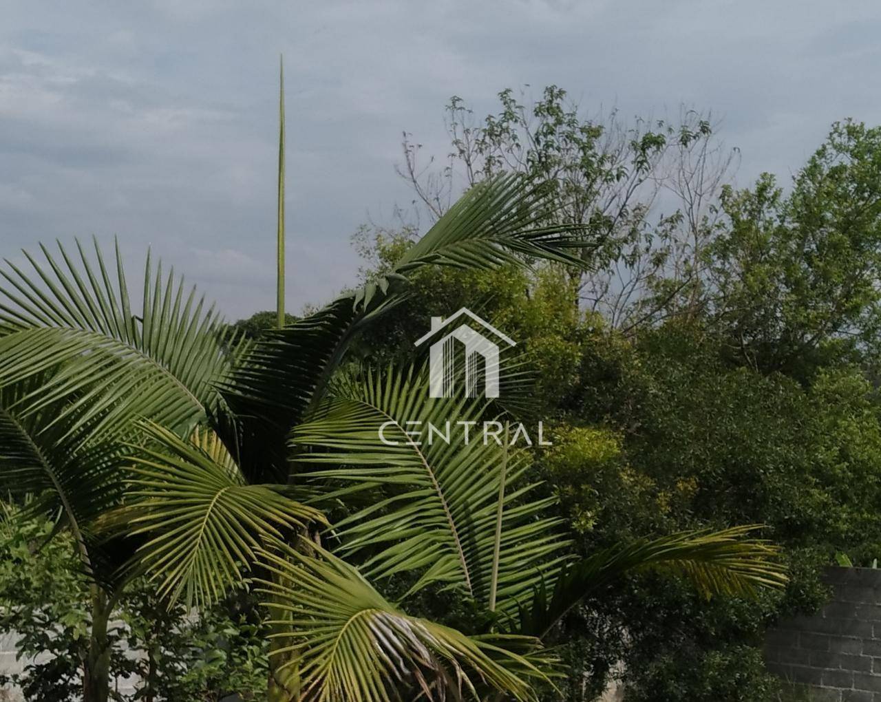 Chácara para alugar, 280m² - Foto 4