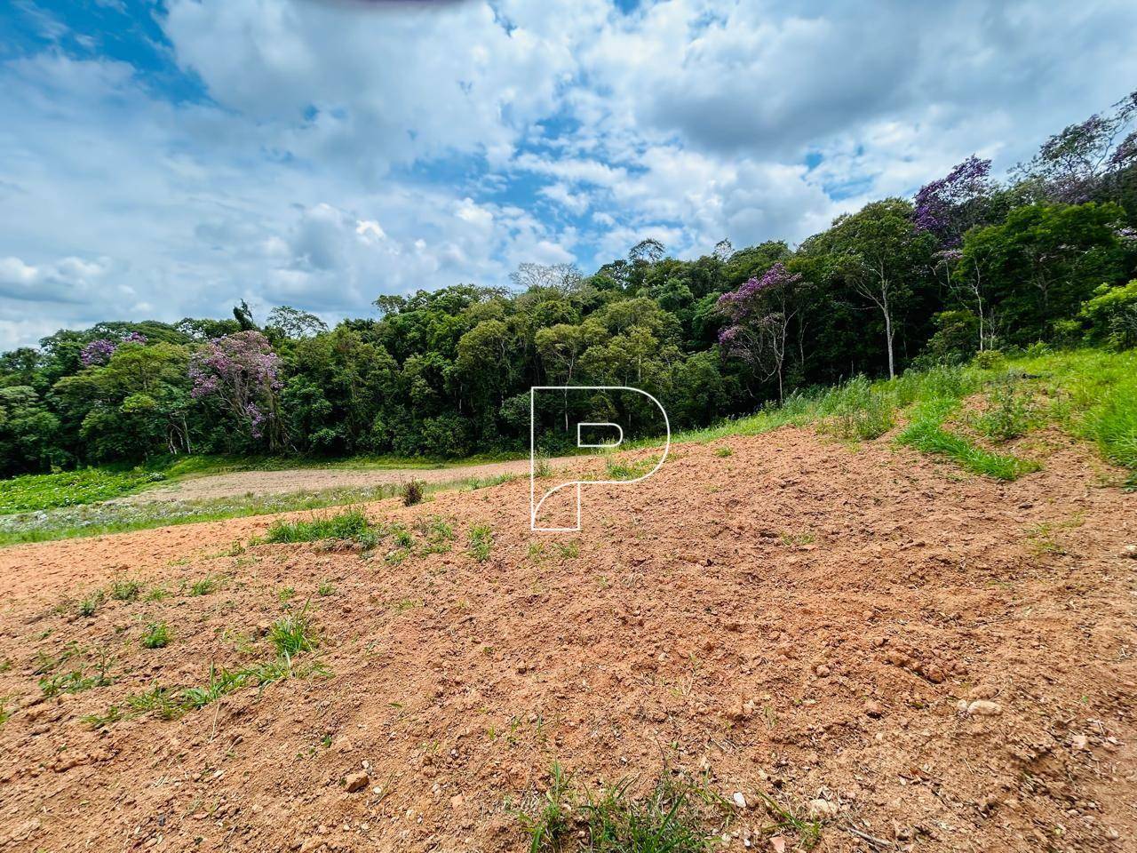 Terreno, 5 hectares - Foto 9