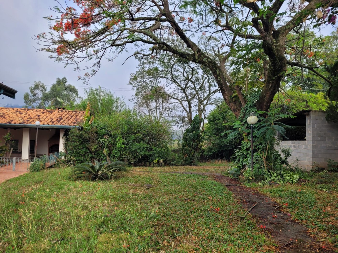 Casa à venda com 4 quartos, 2000m² - Foto 36
