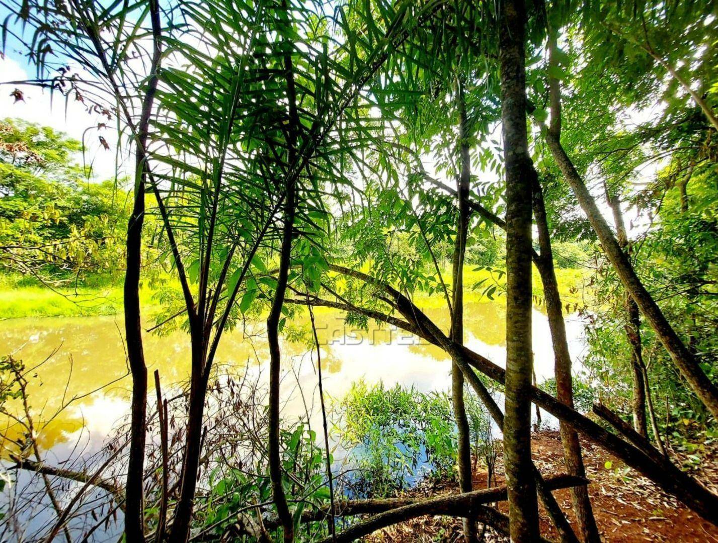 Chácara à venda com 4 quartos, 1000M2 - Foto 9