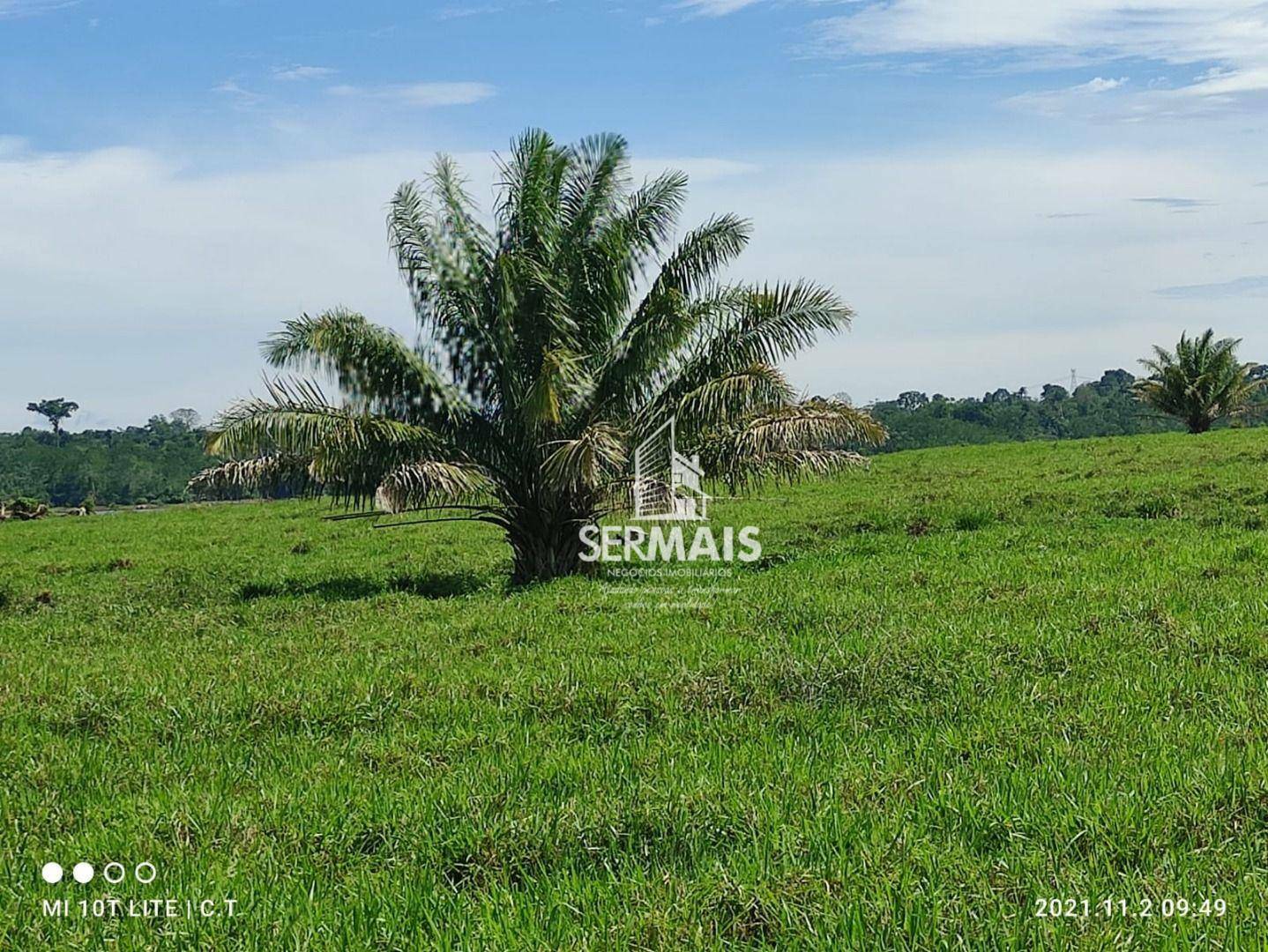 Fazenda à venda, 9680000M2 - Foto 25