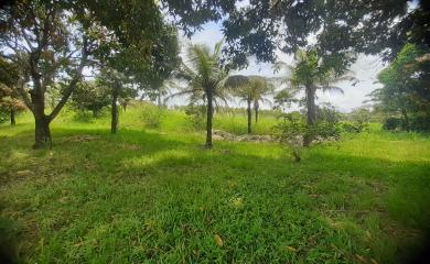 Sítio à venda com 5 quartos, 70000m² - Foto 3