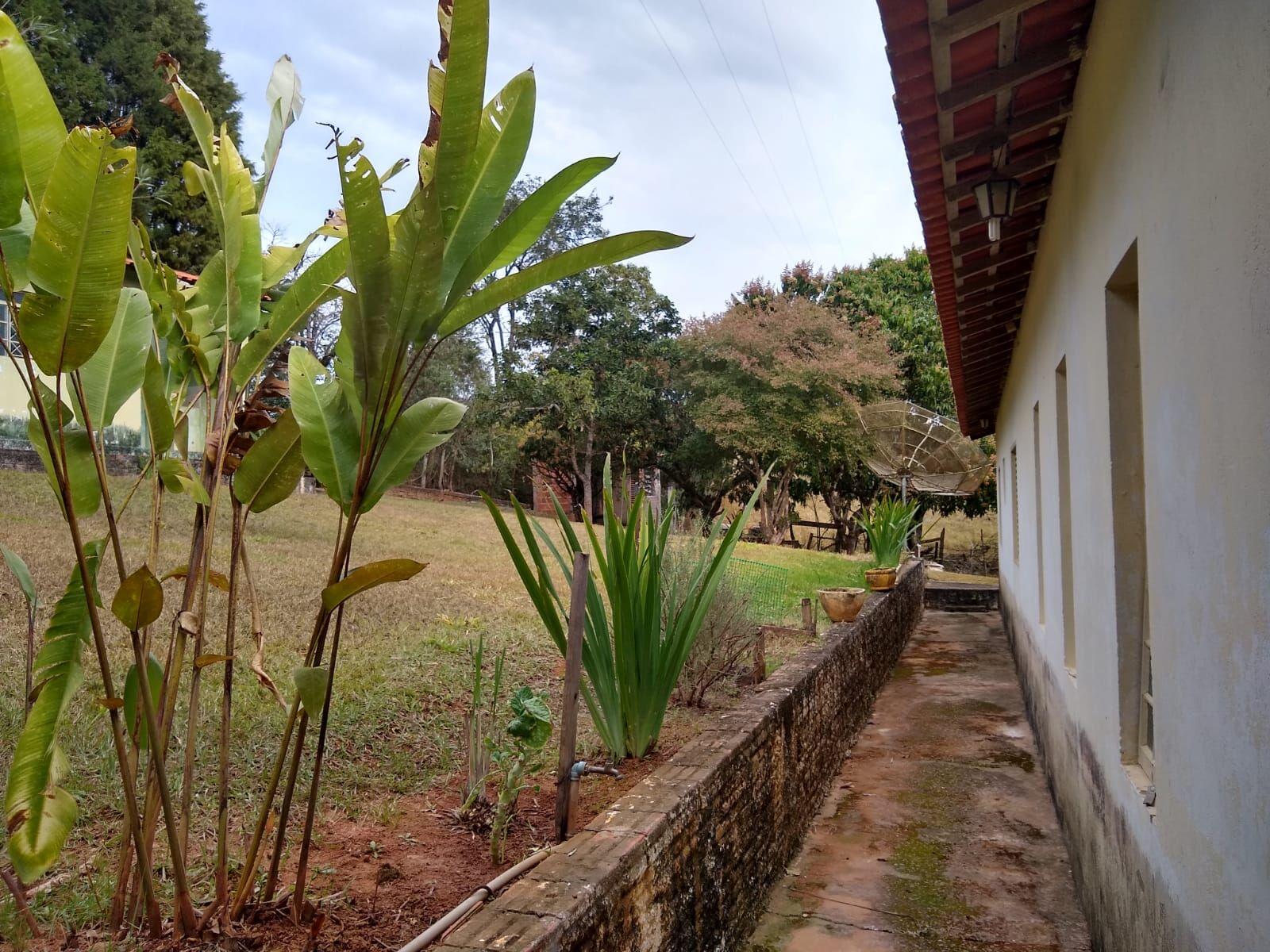 Fazenda à venda com 3 quartos, 5300m² - Foto 44