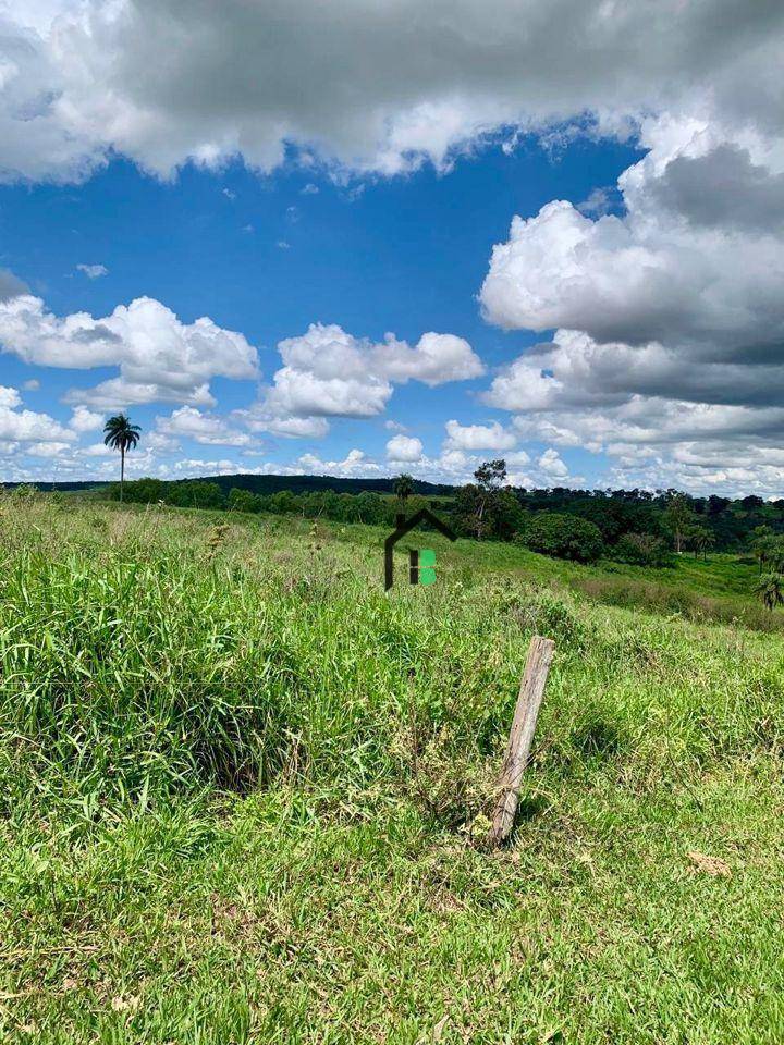 Fazenda, 83 hectares - Foto 5