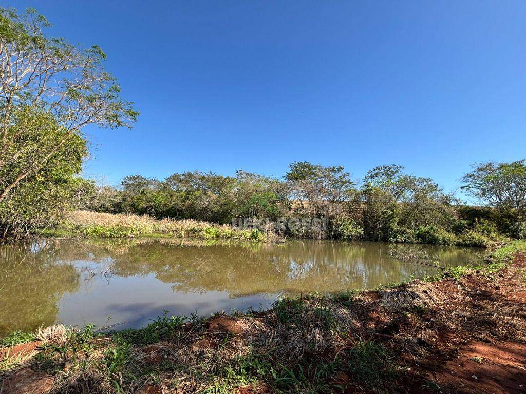 Fazenda, 232 hectares - Foto 16